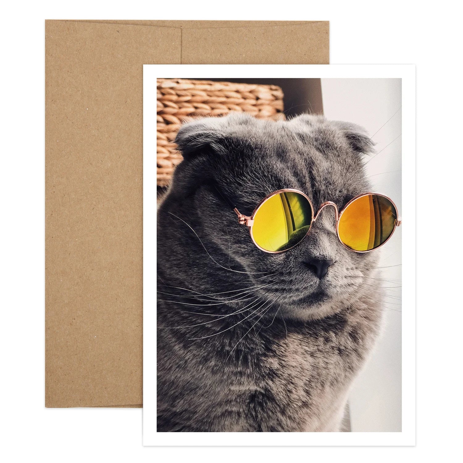 Cool Cat Birthday Greeting Card
