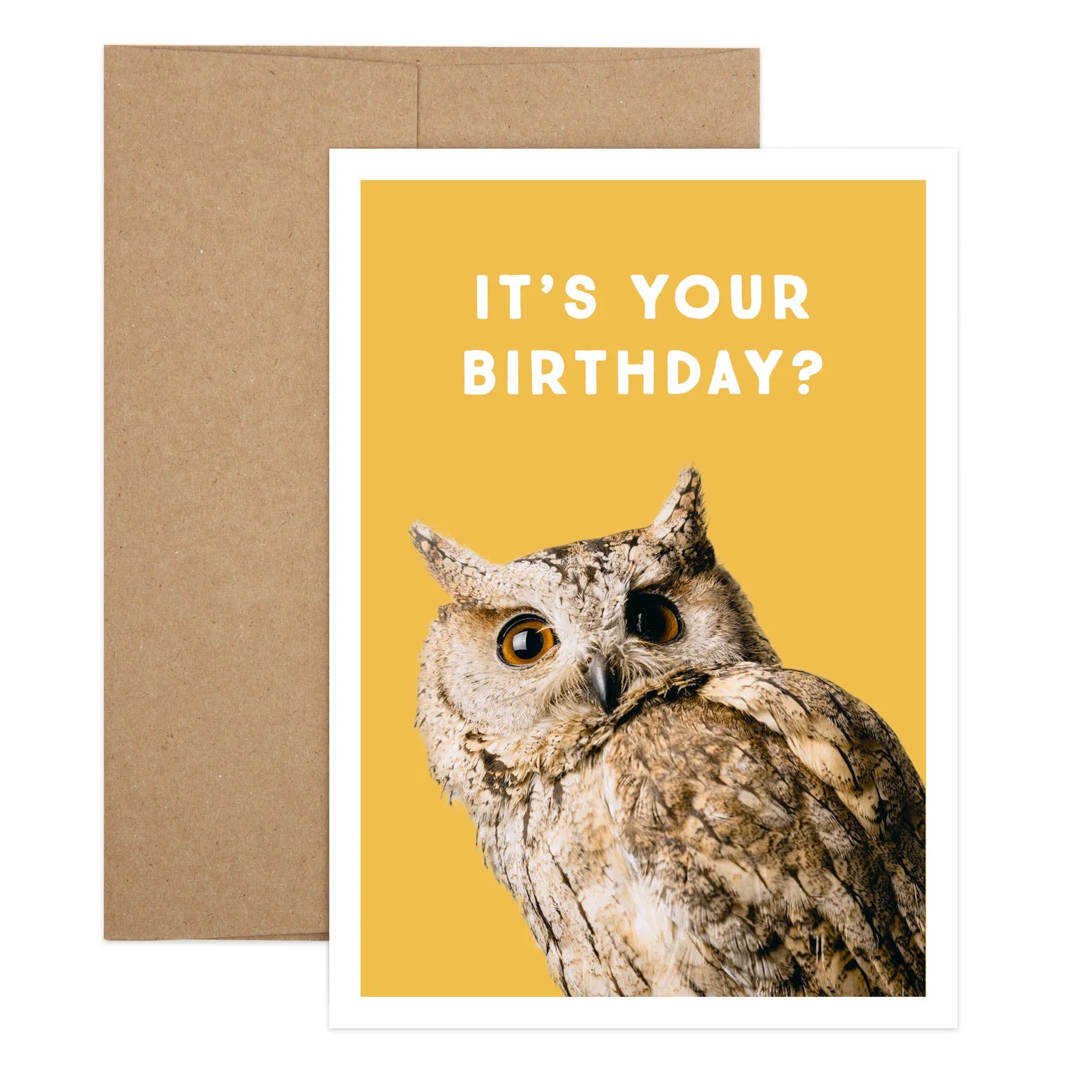 Owl Birthday Greeting Card