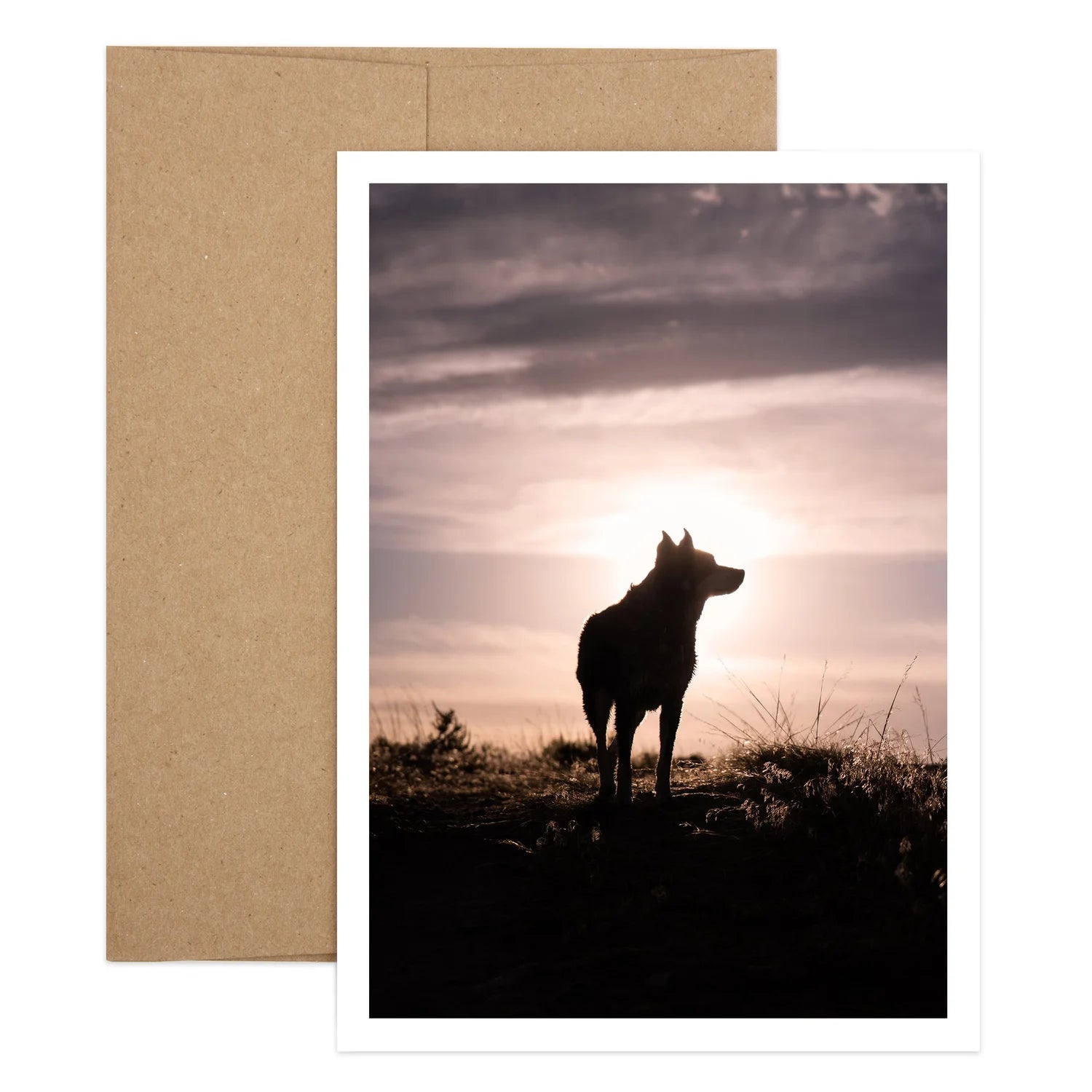Dog Sympathy Greeting Card