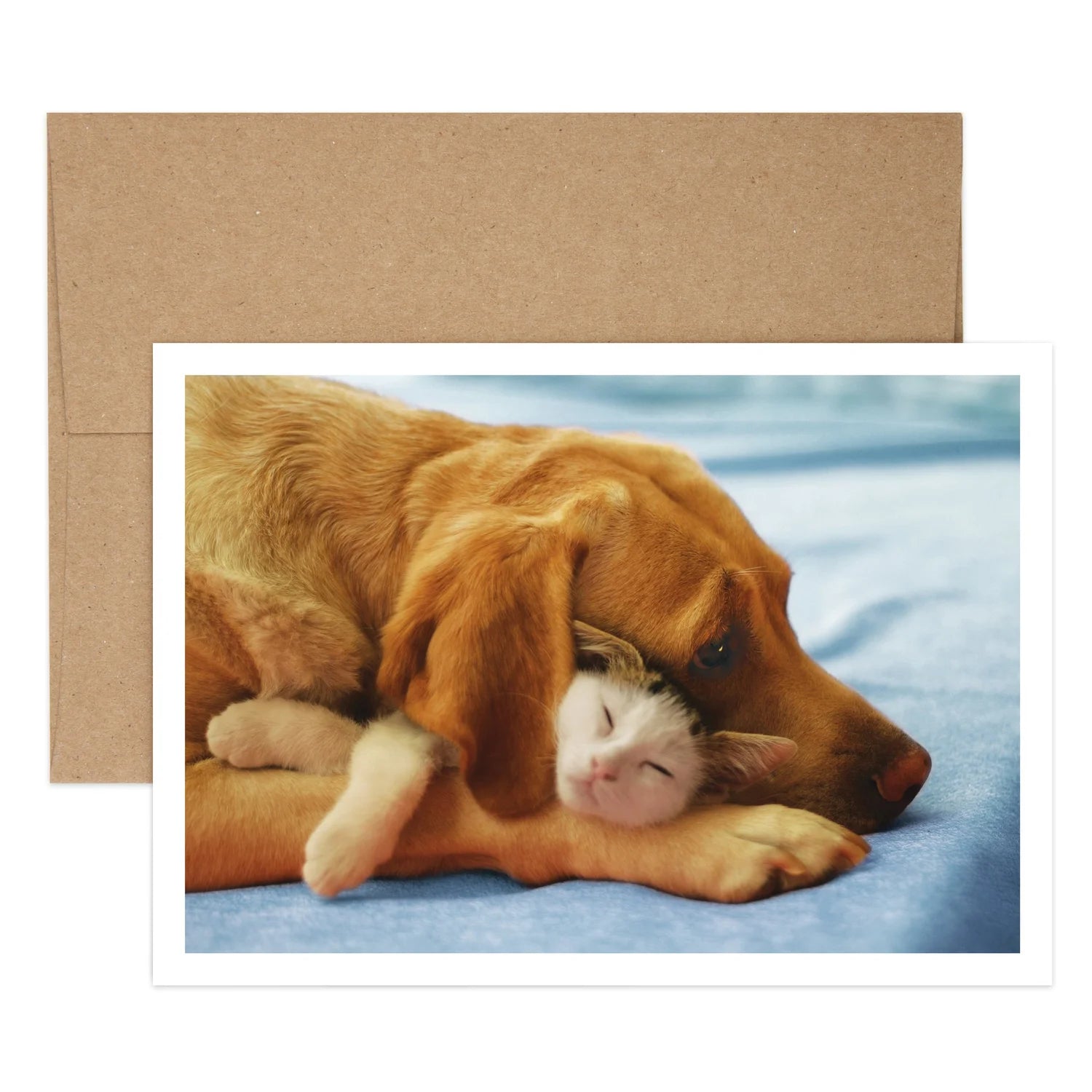 Couldn't Resist Birthday Greeting Card