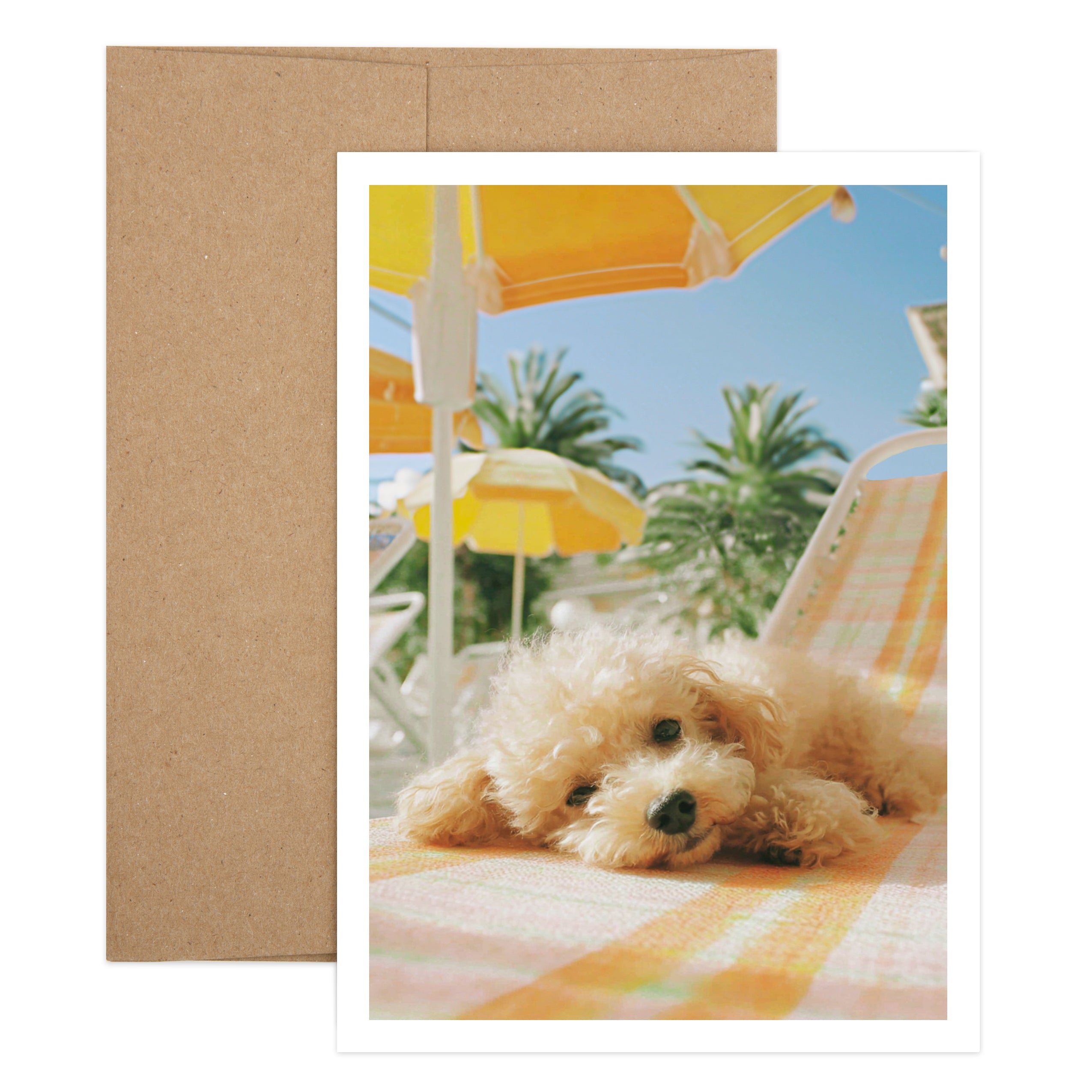 Lounging Dog Birthday