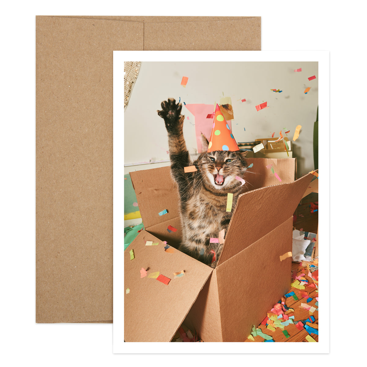 Cat Birthday Hisses