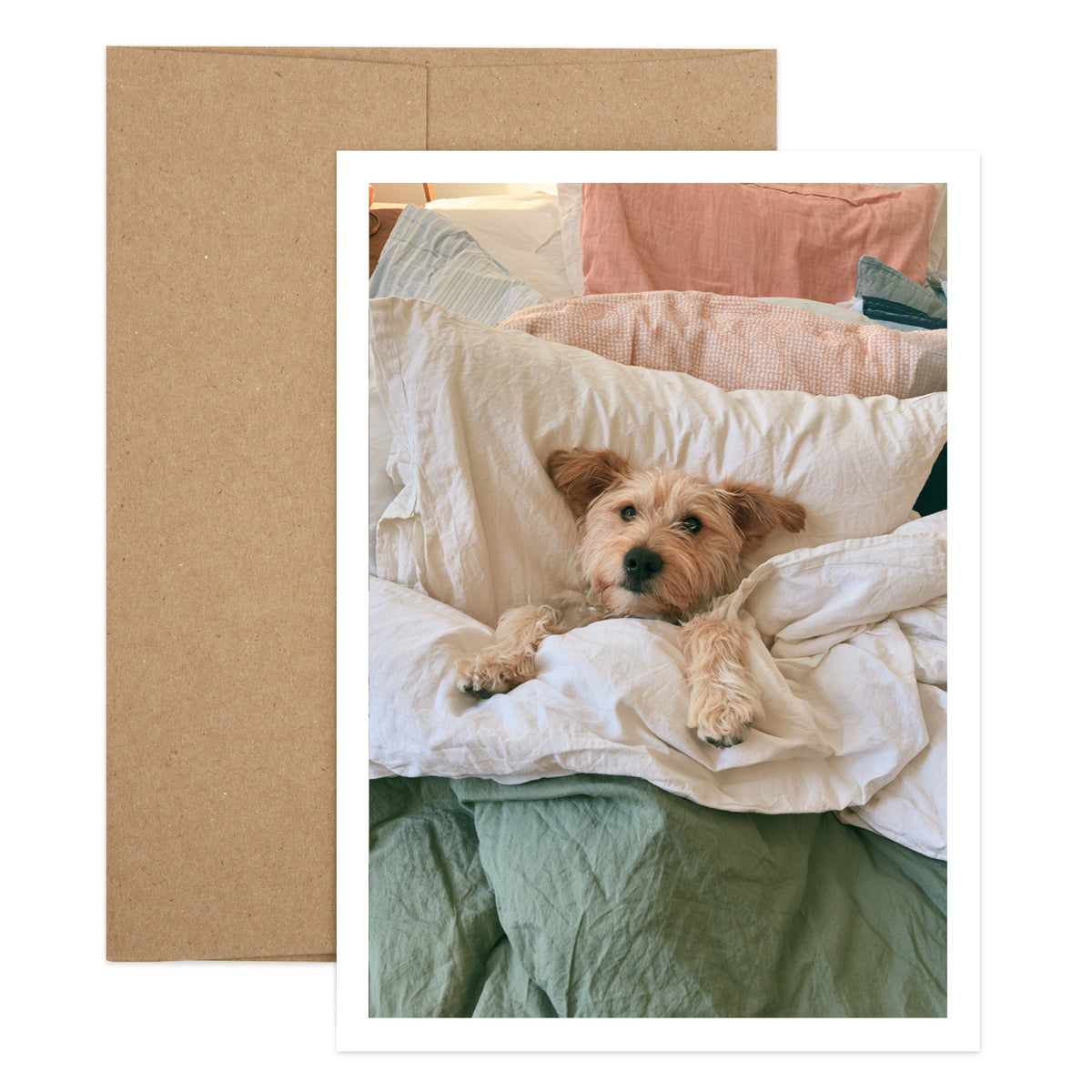 Paws and Rest Get Well Greeting Card