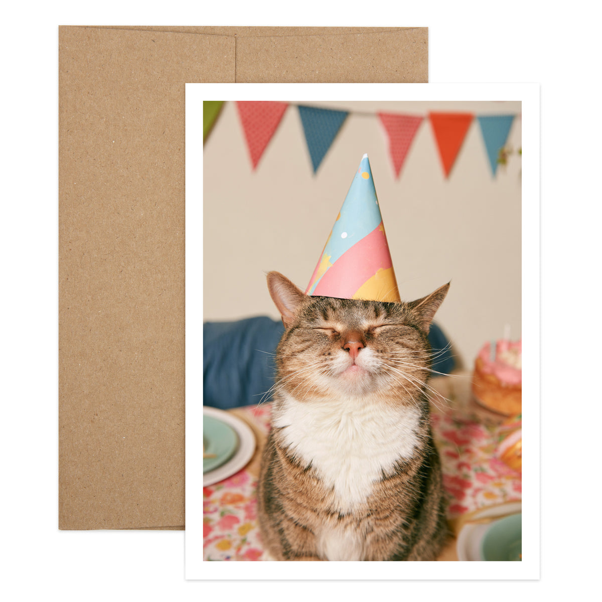 Cat Birthday Wishes