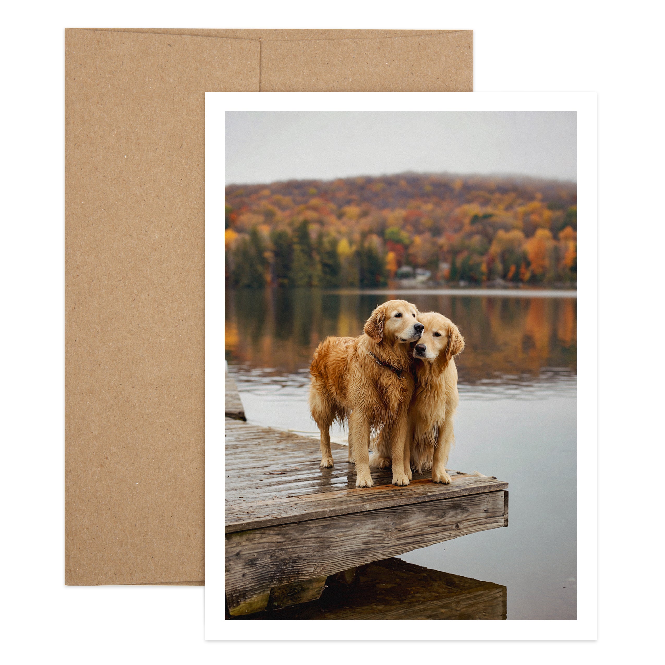 Dogs Sending Hugs