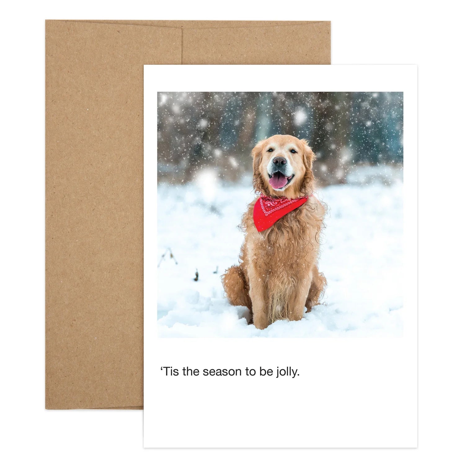 Holiday Retriever Greeting Card