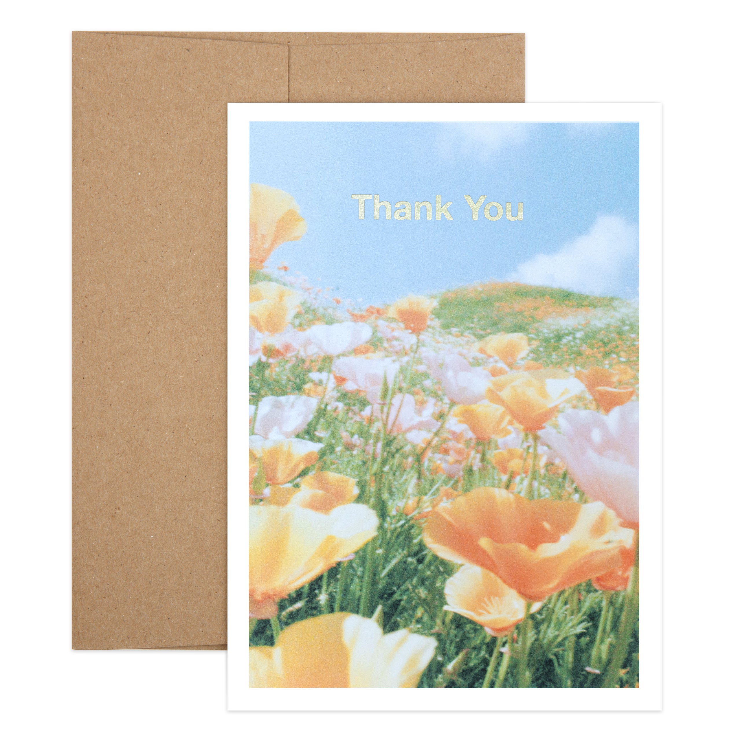 Poppy Thanks (Gold Foil)
