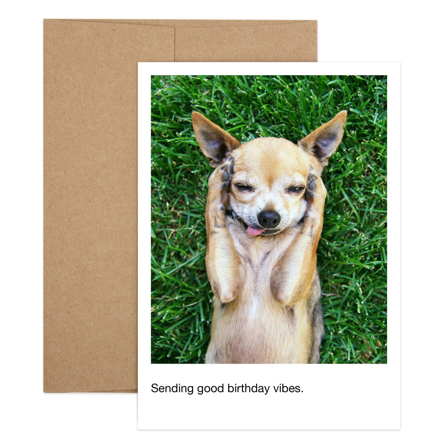 Dog Good Vibes Birthday Greeting Card