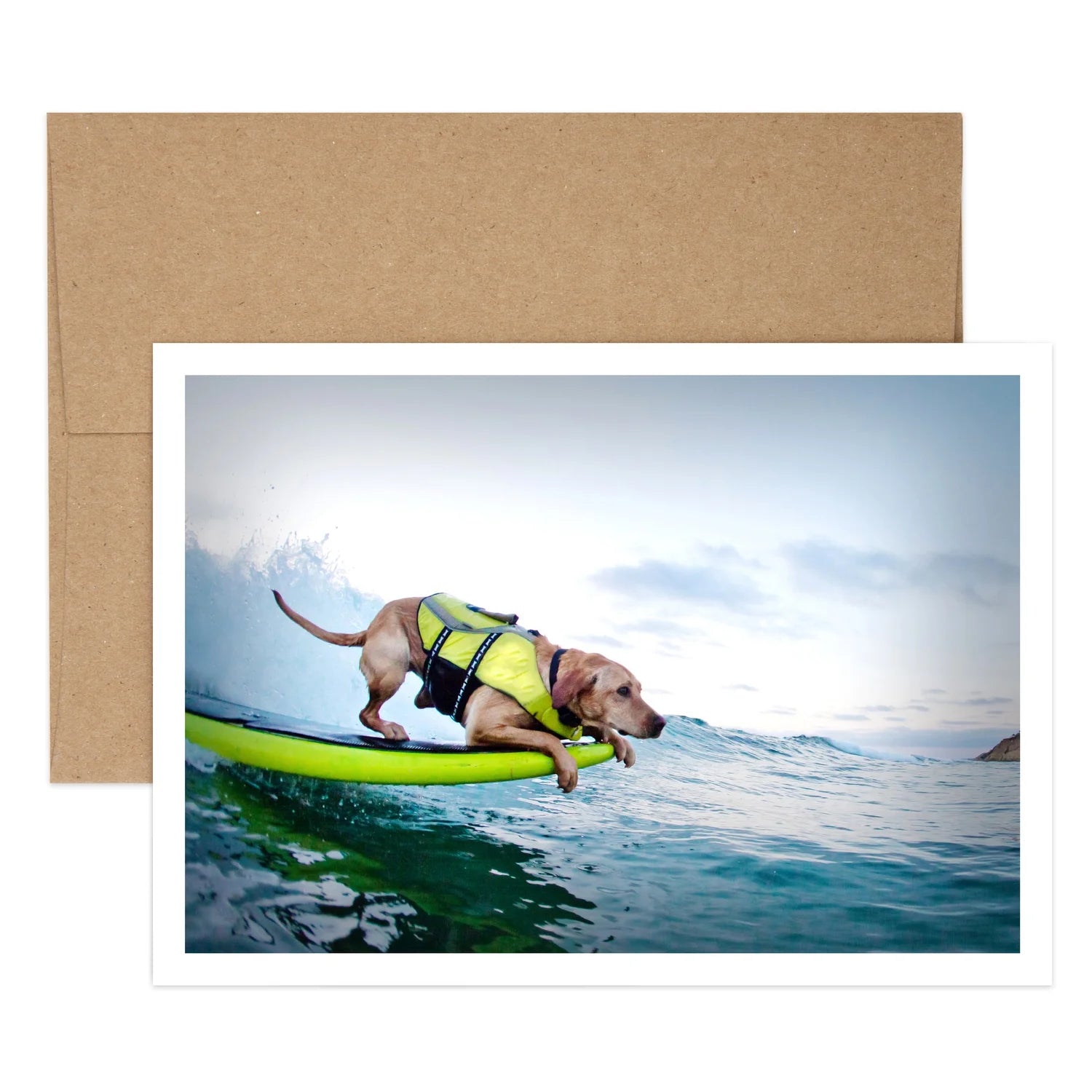 Surf Dog Birthday Greeting Card