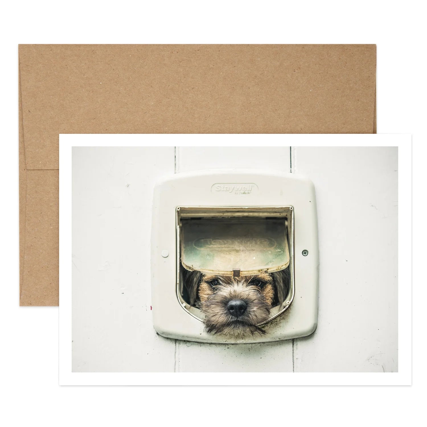 Dog in Door Birthday Card