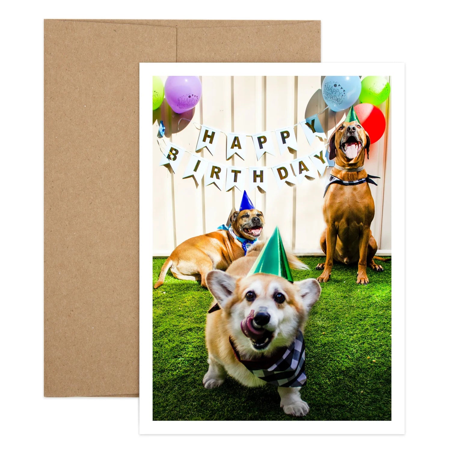 Dog Pawty Birthday Card