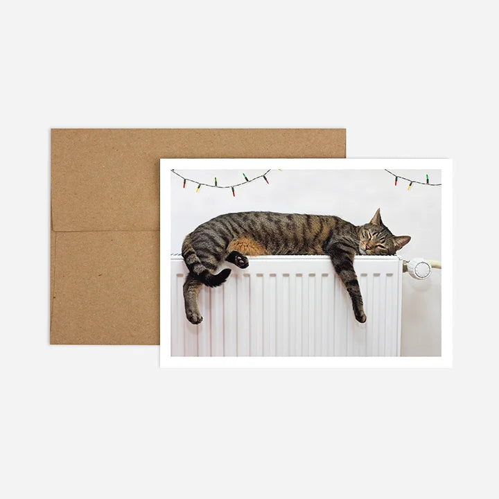 Warmest Kitty Holiday Greeting Card