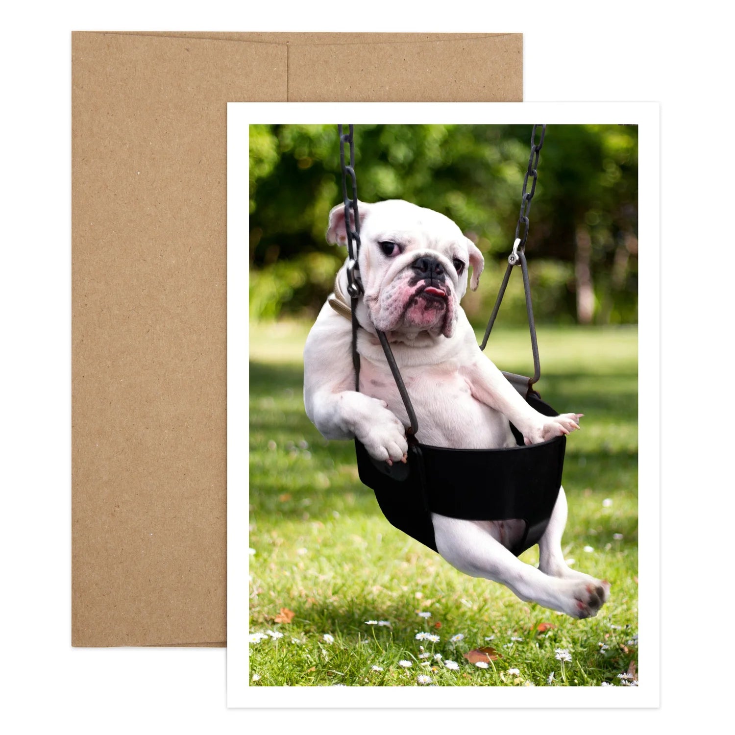 Bulldog Swing Birthday Greeting Card