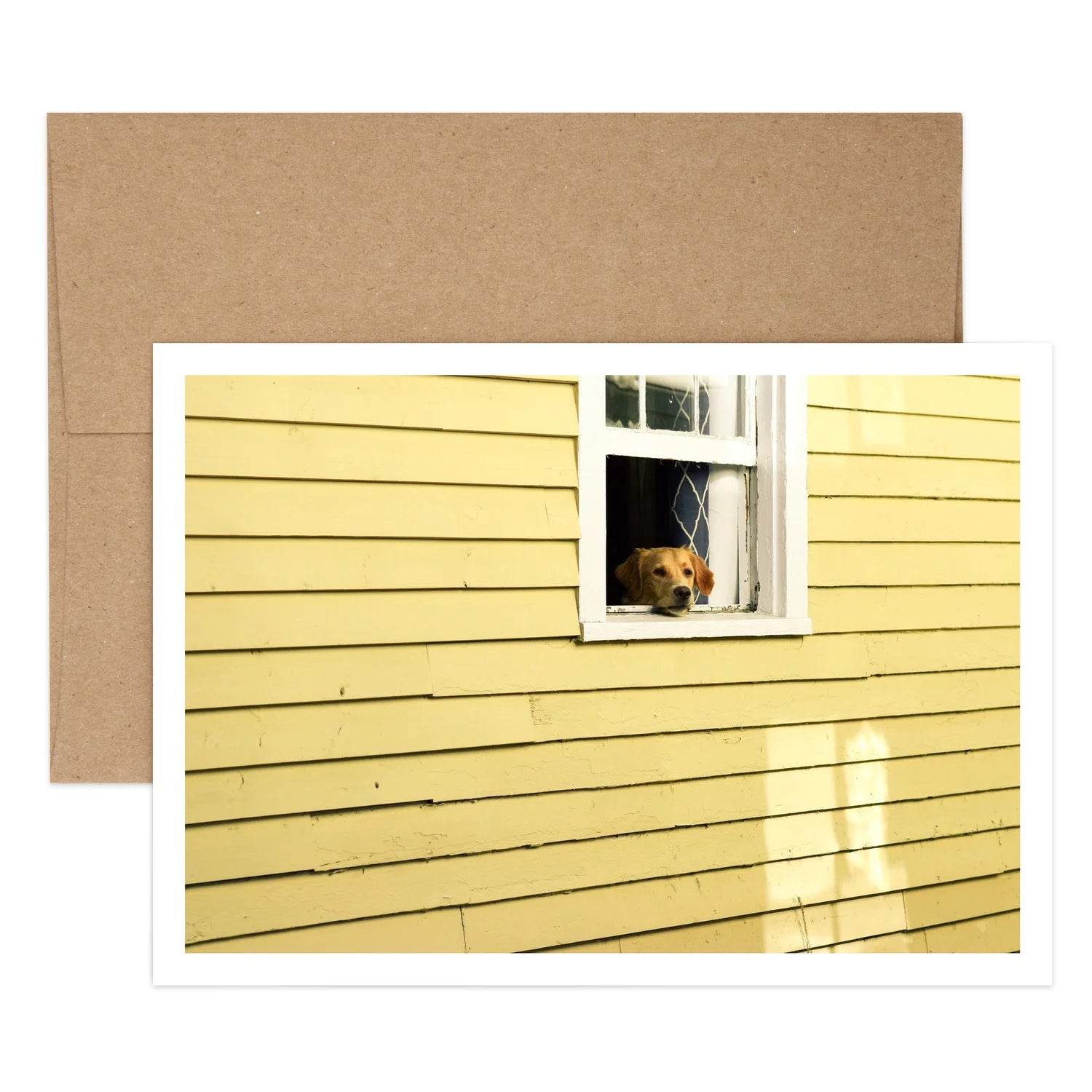 Dog in Window Missing You Greeting Card