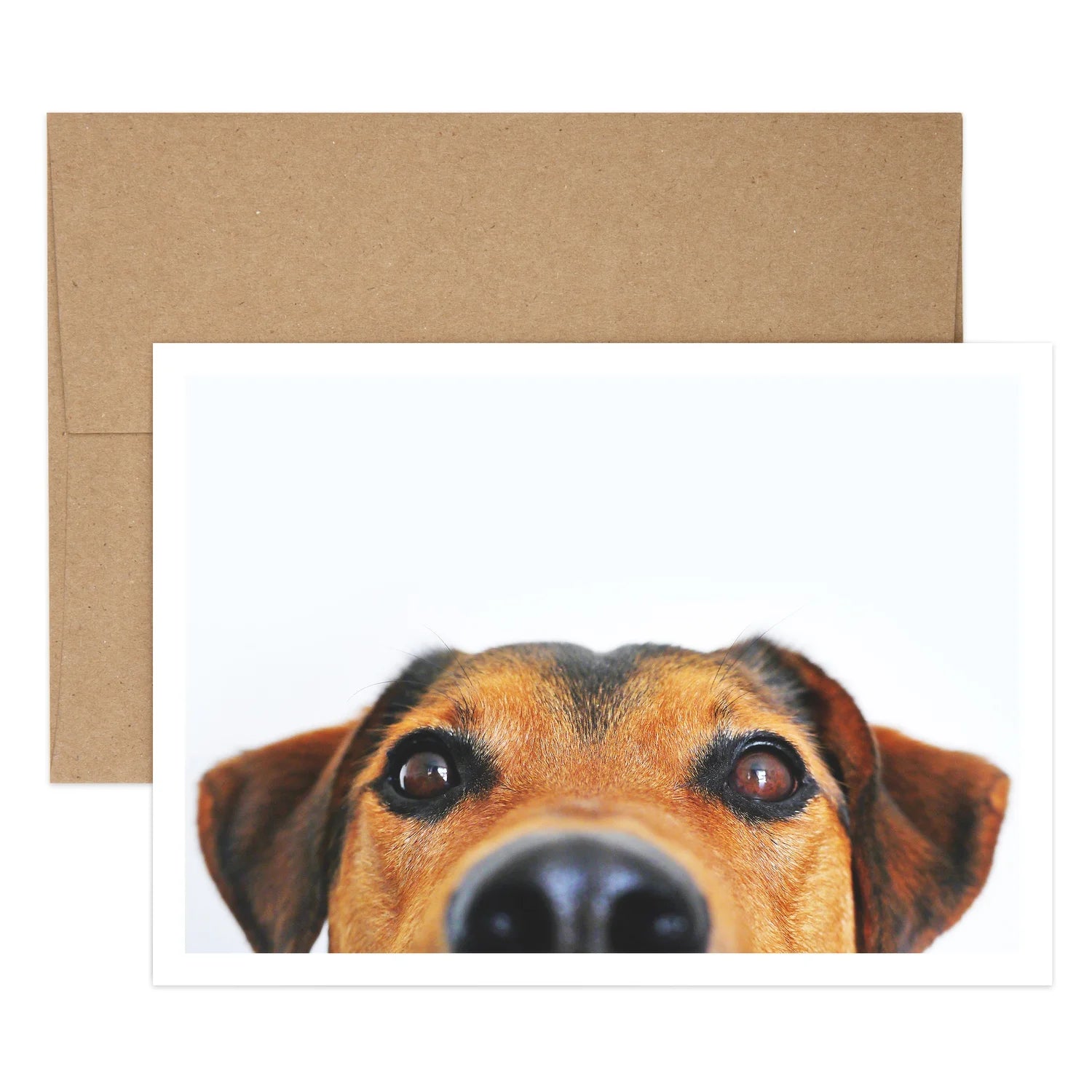 Dog Cake Birthday Greeting Card