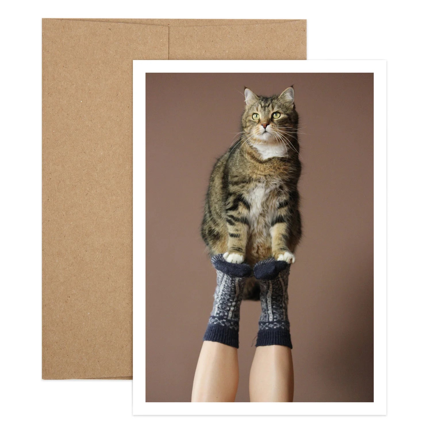 Cat On Feet Thanks Greeting Card