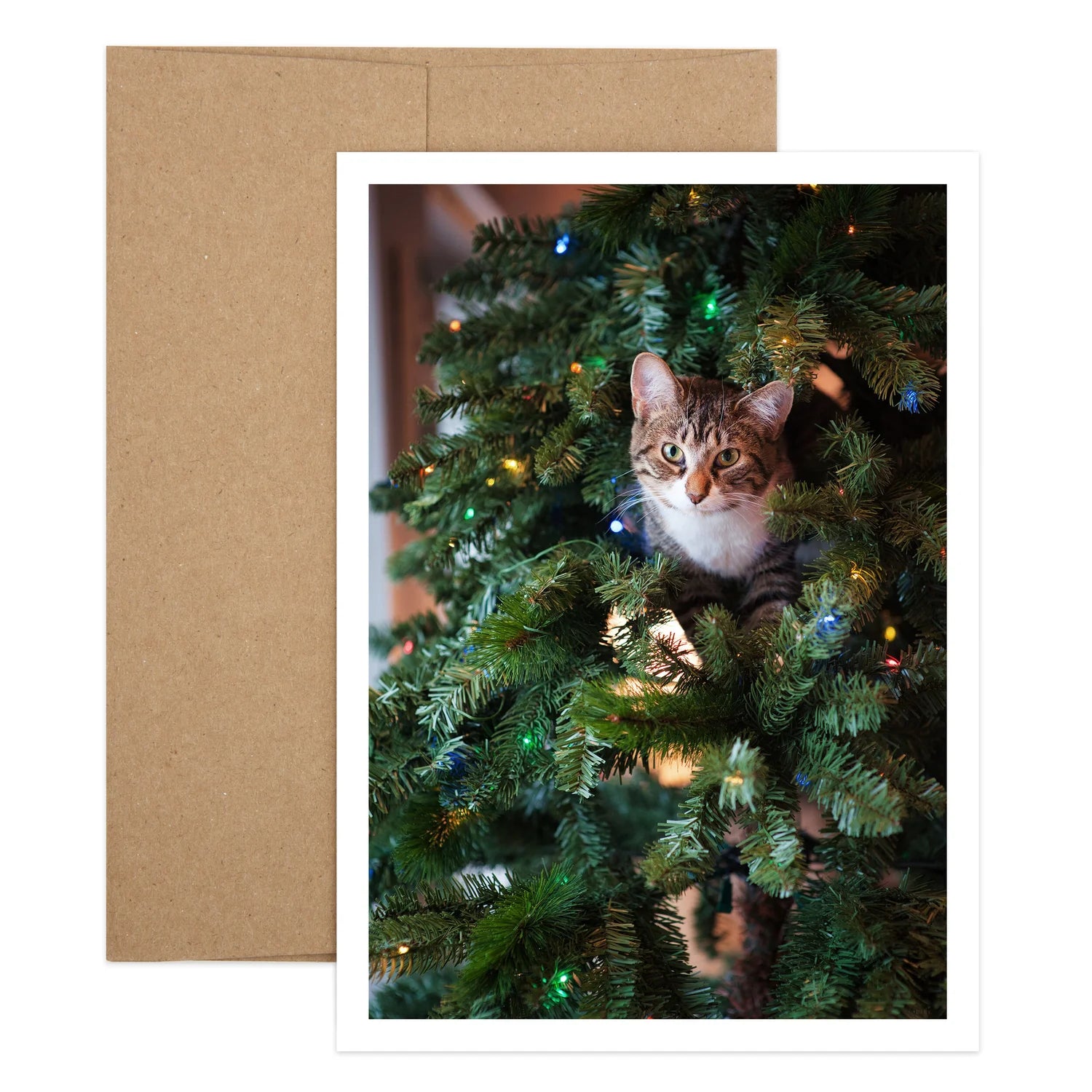 Cat in Christmas Tree Greeting Card