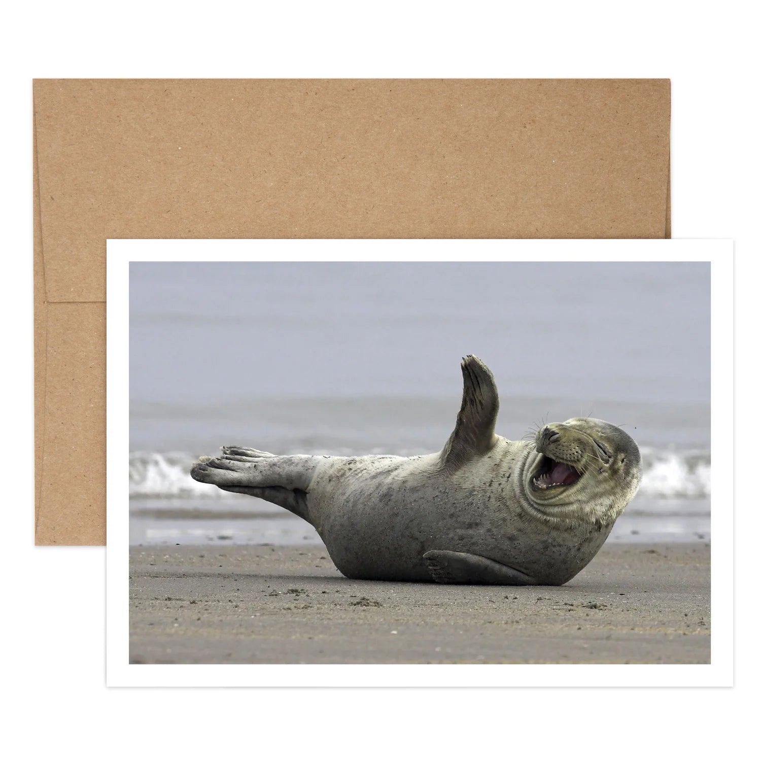 Laughing Seal Birthday Greeting Card