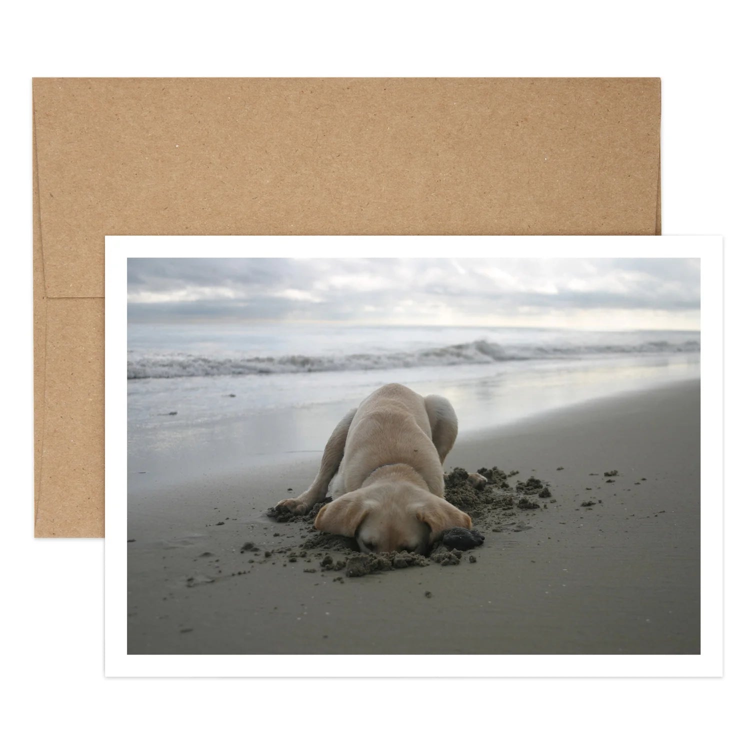 Kona Digging Birthday Greeting Card