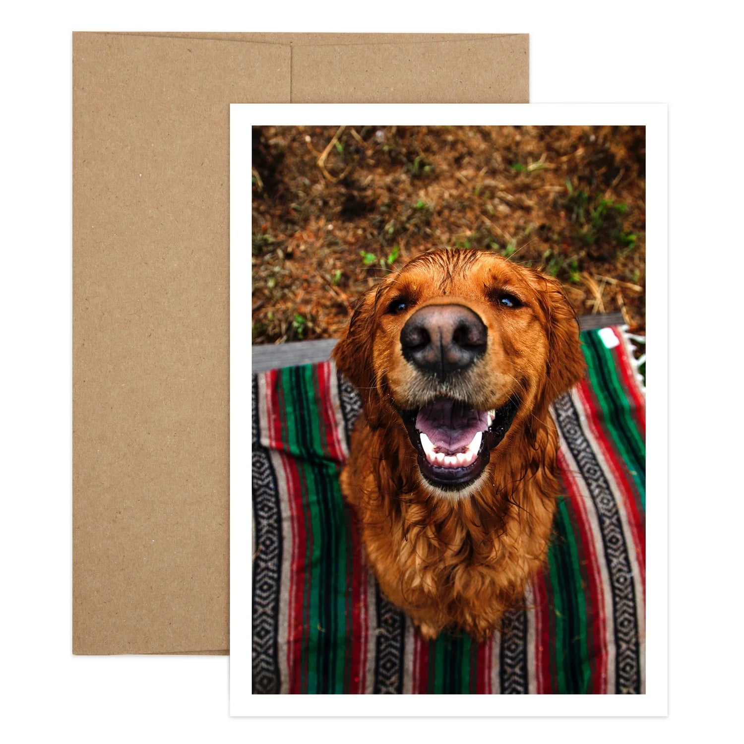 Dog On Blanket Birthday Greeting Card