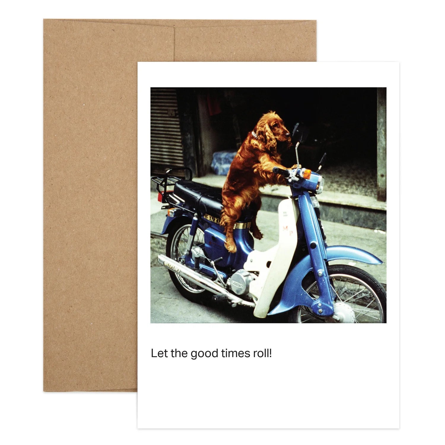 Dog On Motorbike Birthday Greeting Card