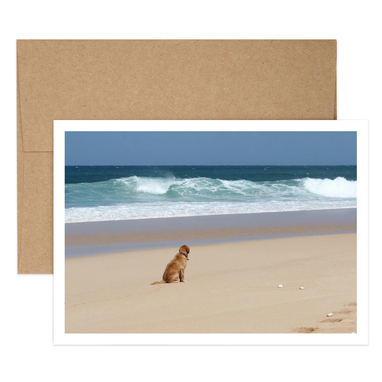 Pet Sympathy Greeting Card