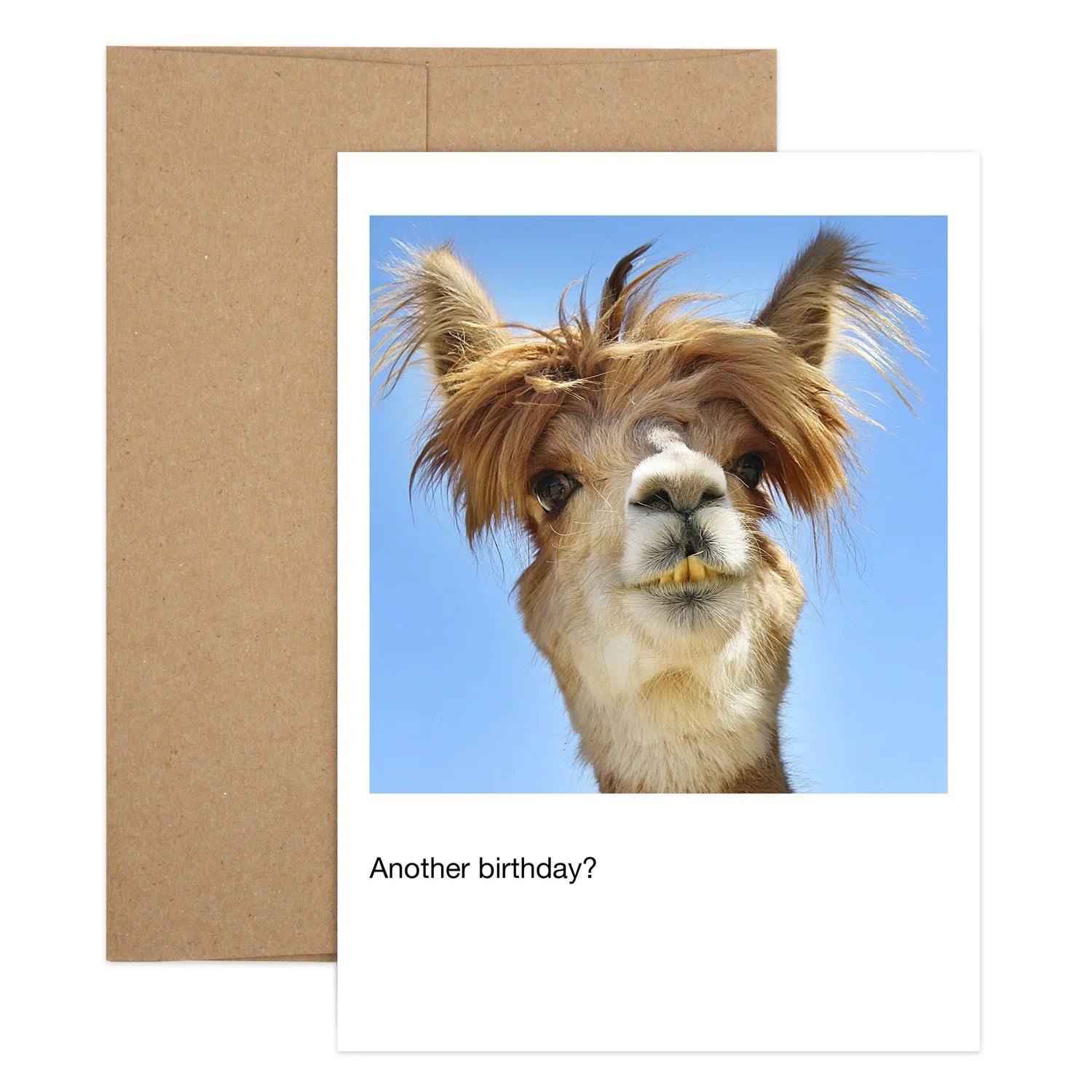 No Prob-llama Birthday Greeting Card