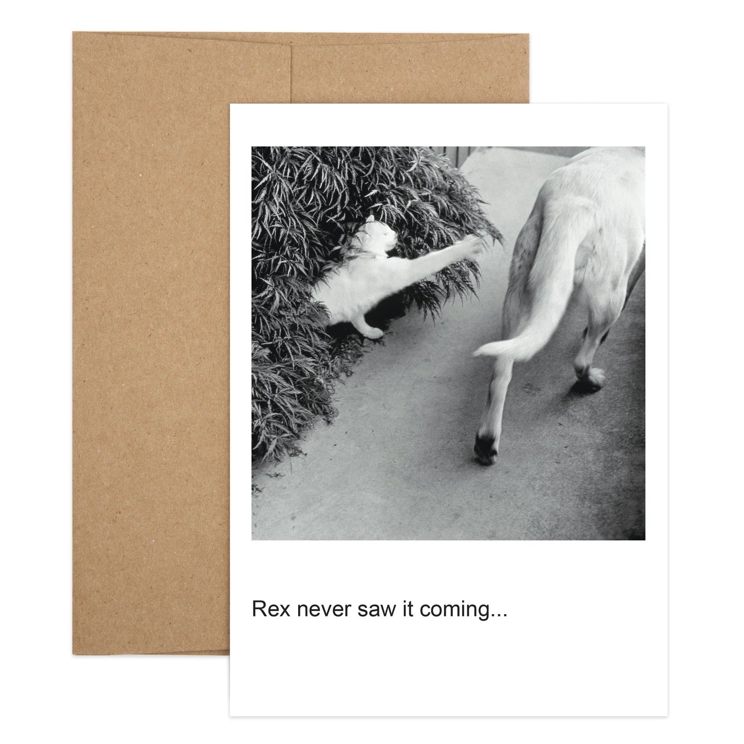Rex Birthday Greeting Card