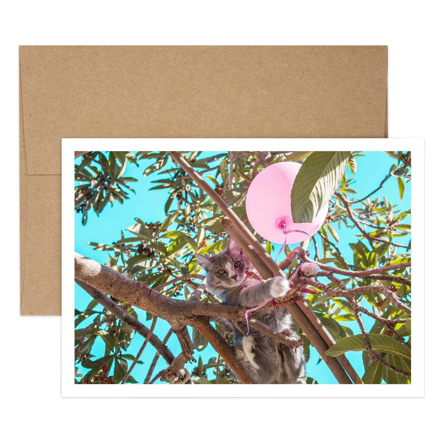 Cat's Meow Mother’s Day Card