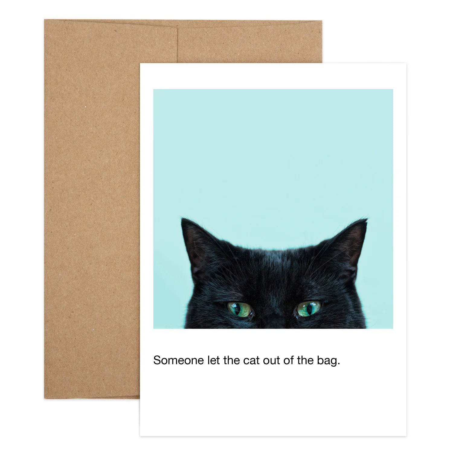 Cat Out of Bag Birthday Greeting Card