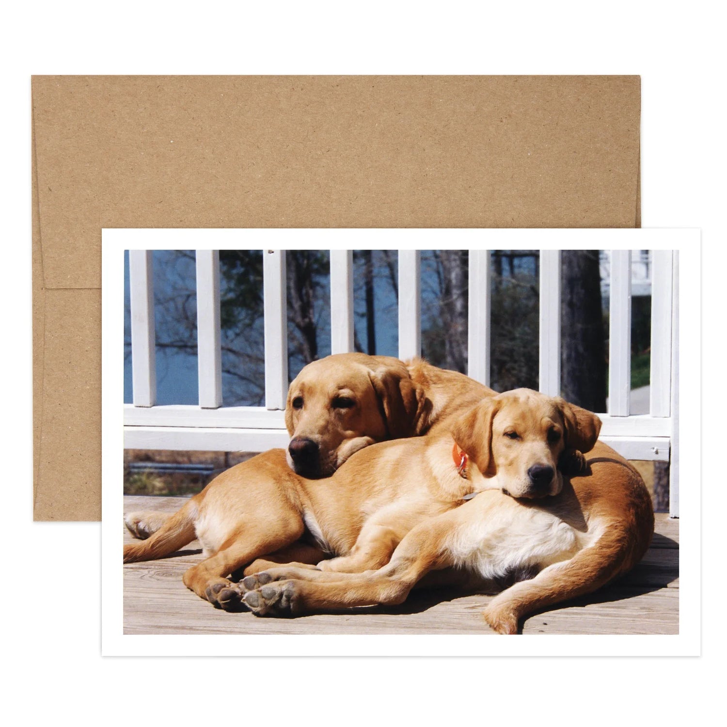 Two Dog Encouragement Greeting Card