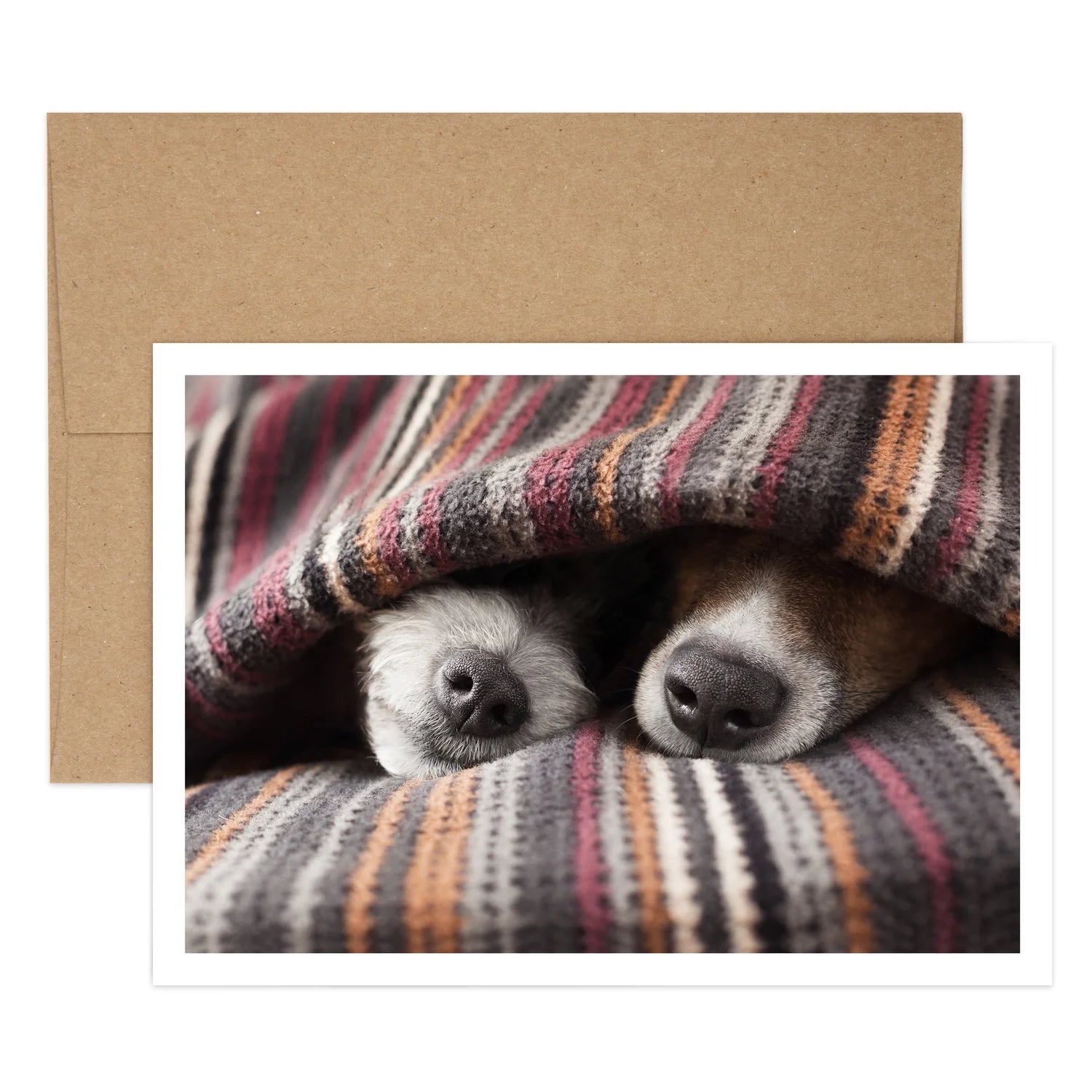 Cozy Dogs Love Greeting Card