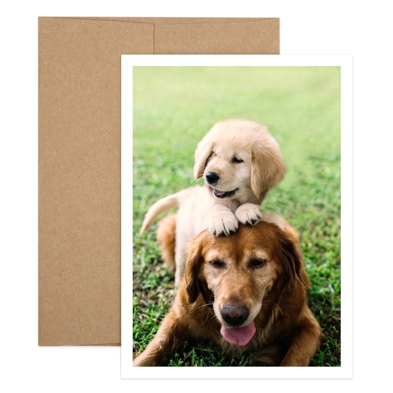 Goodbye Sleep Congratulations Card