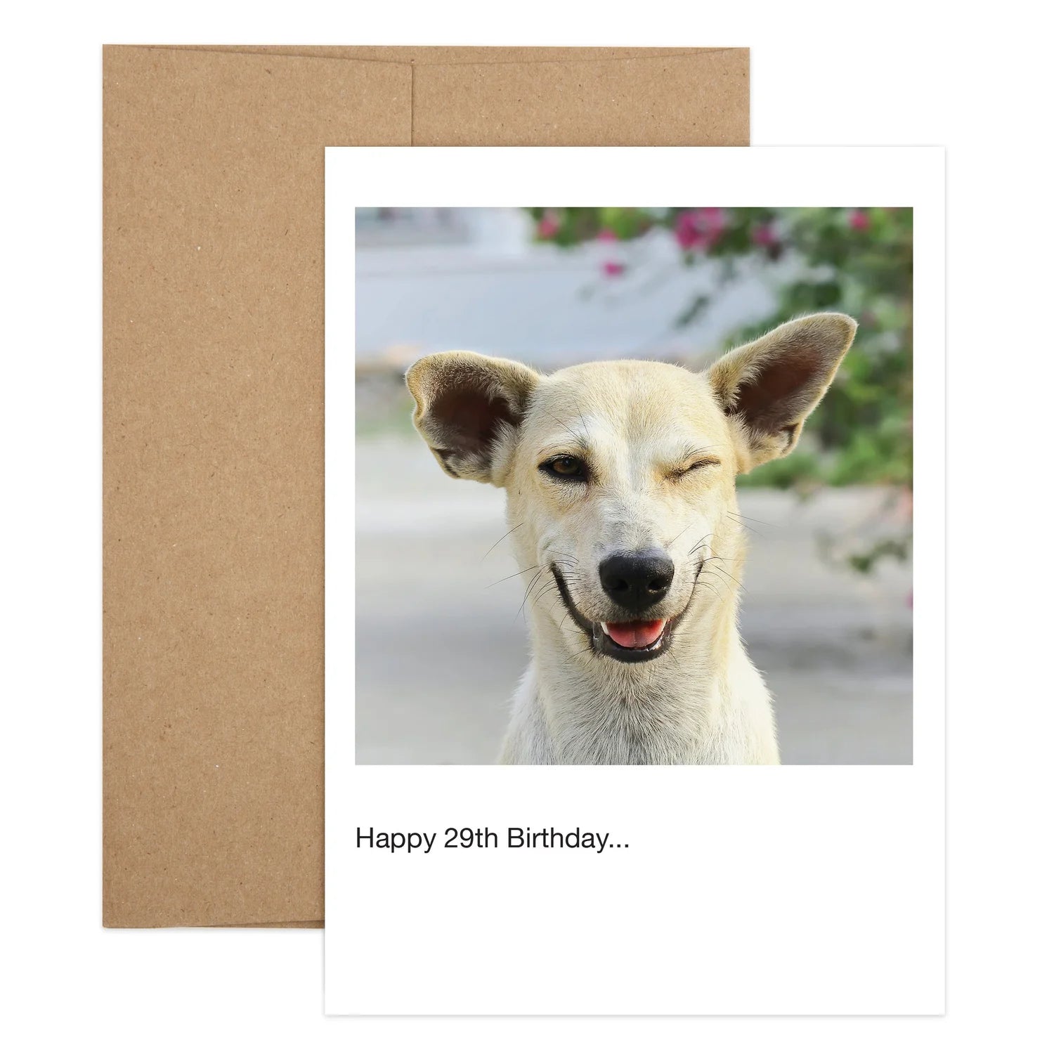 Wink Wink Birthday Greeting Card