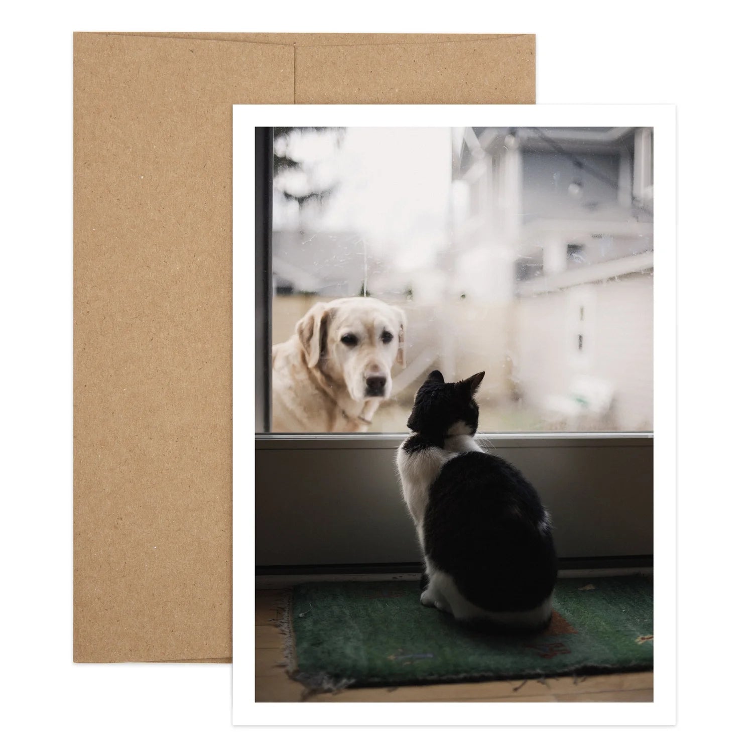 Dog to Cat Sorry Greeting Card
