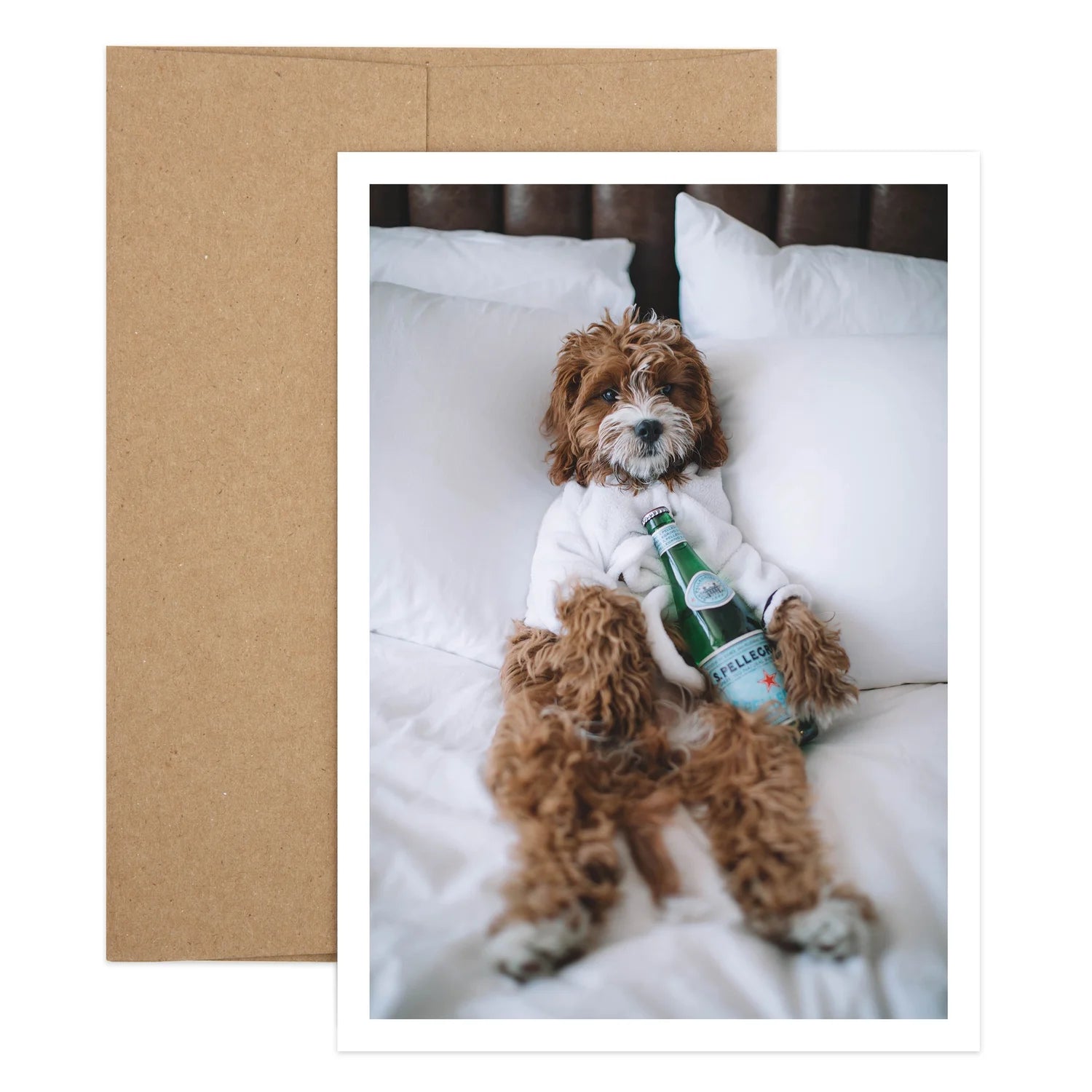 Take it Easy Dog Birthday Greeting Card