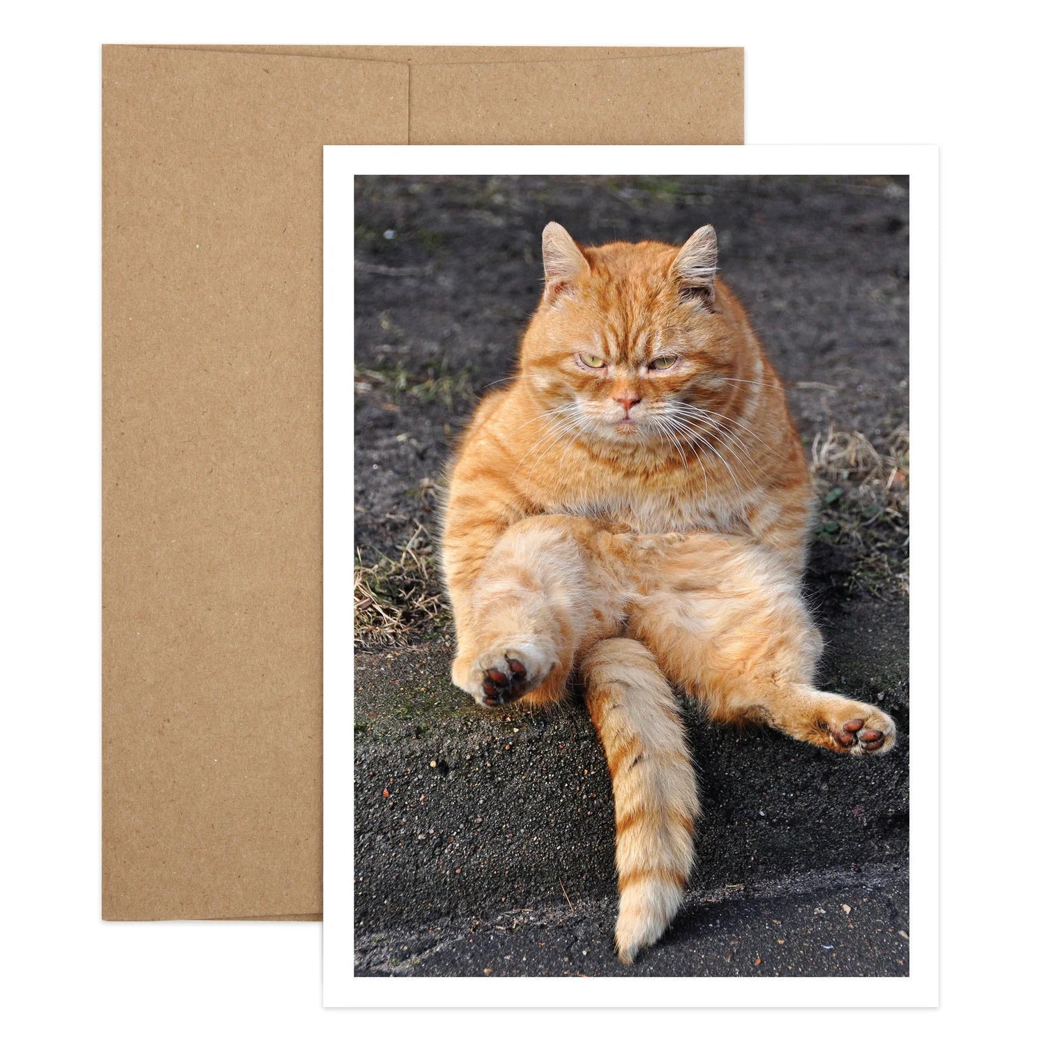 Happiest Cat Birthday Greeting Card