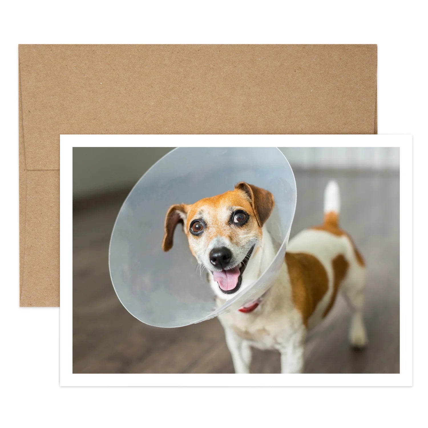 Dog Cone Get Well Greeting Card