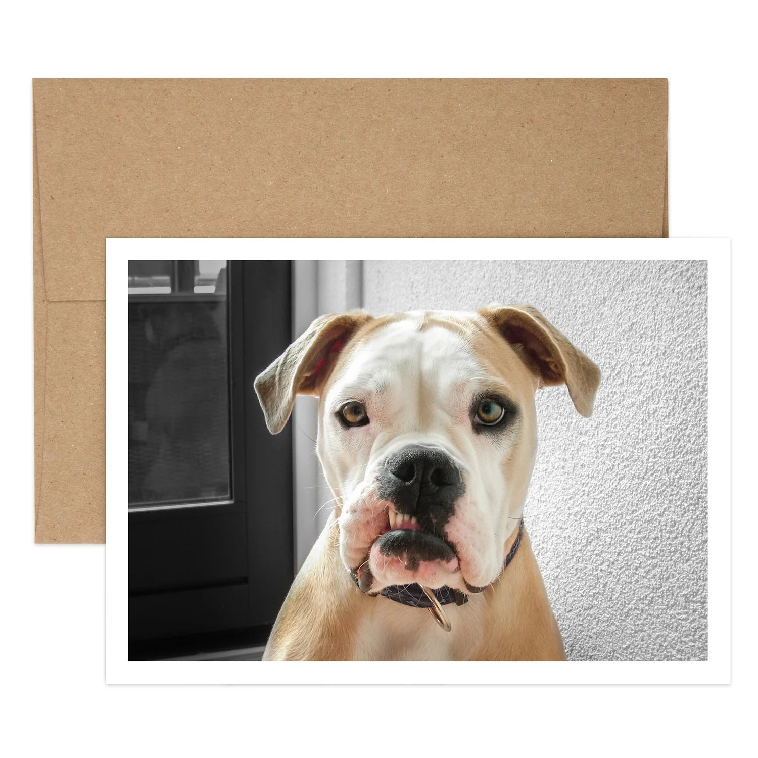 Ruh Roh Sorry Greeting Card