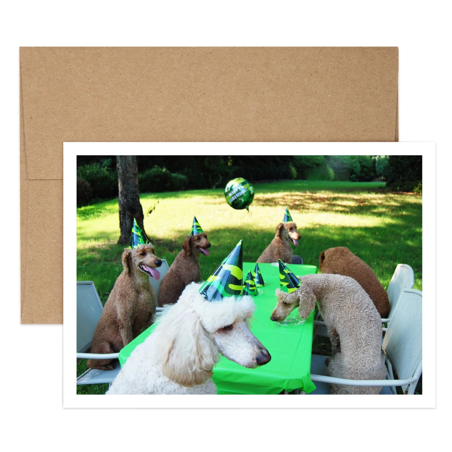 Poodle Party Birthday Greeting Card