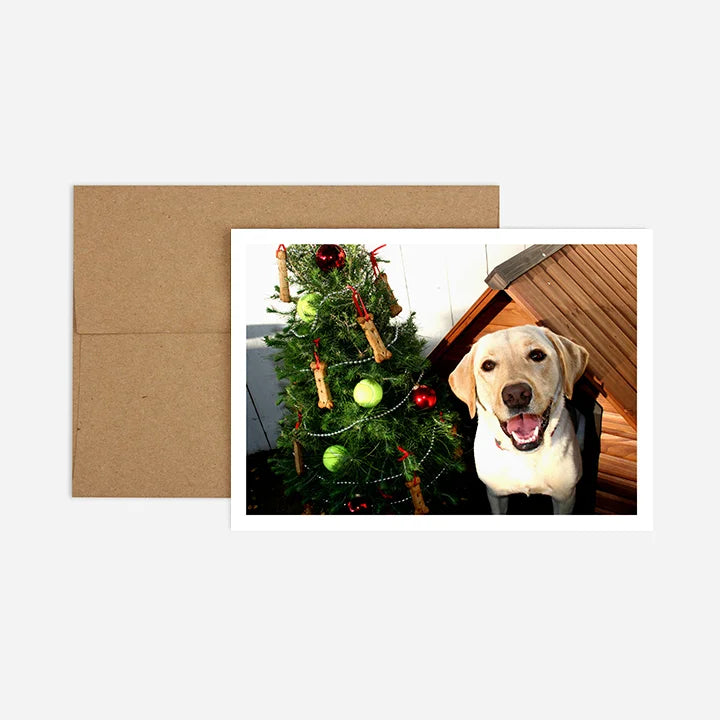 Holiday Treat Greeting Card