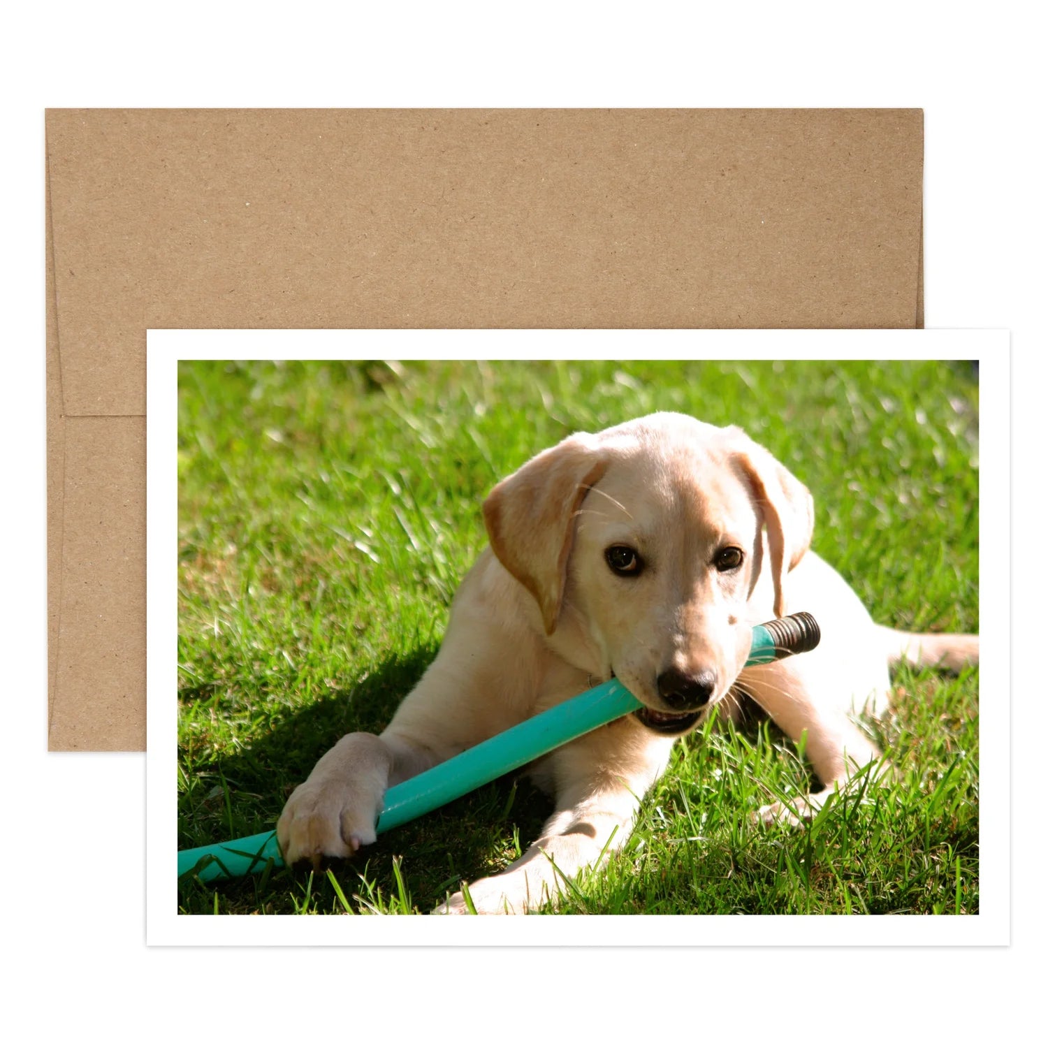Kona Hose Birthday Greeting Card