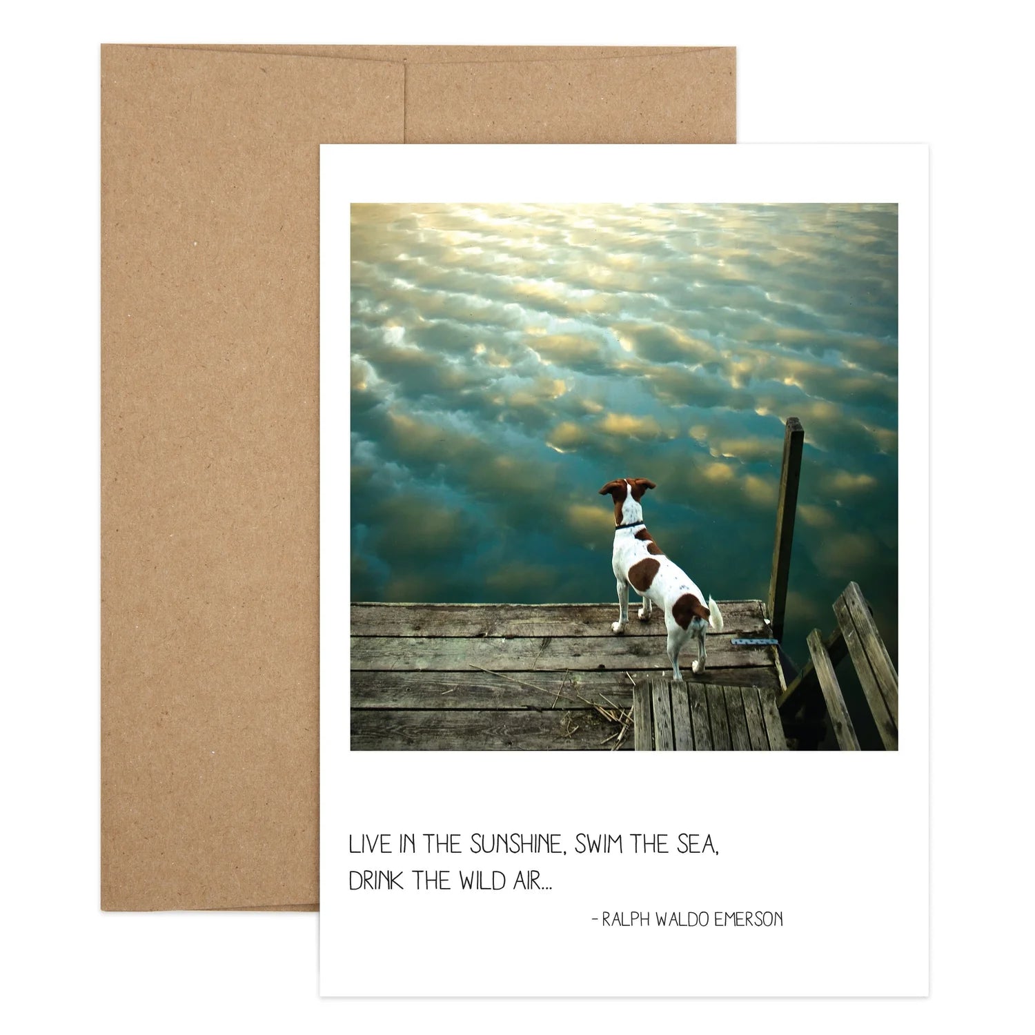 Dog On Dock Birthday Greeting Card