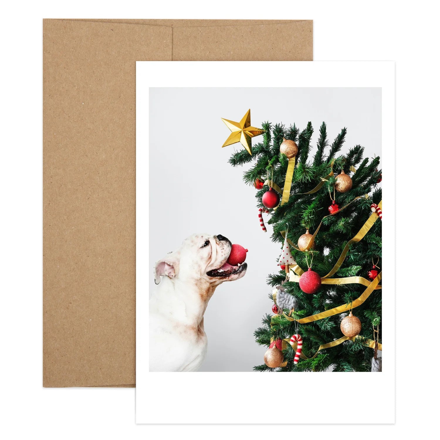 Feliz Naughty Dog Holiday Greeting Card