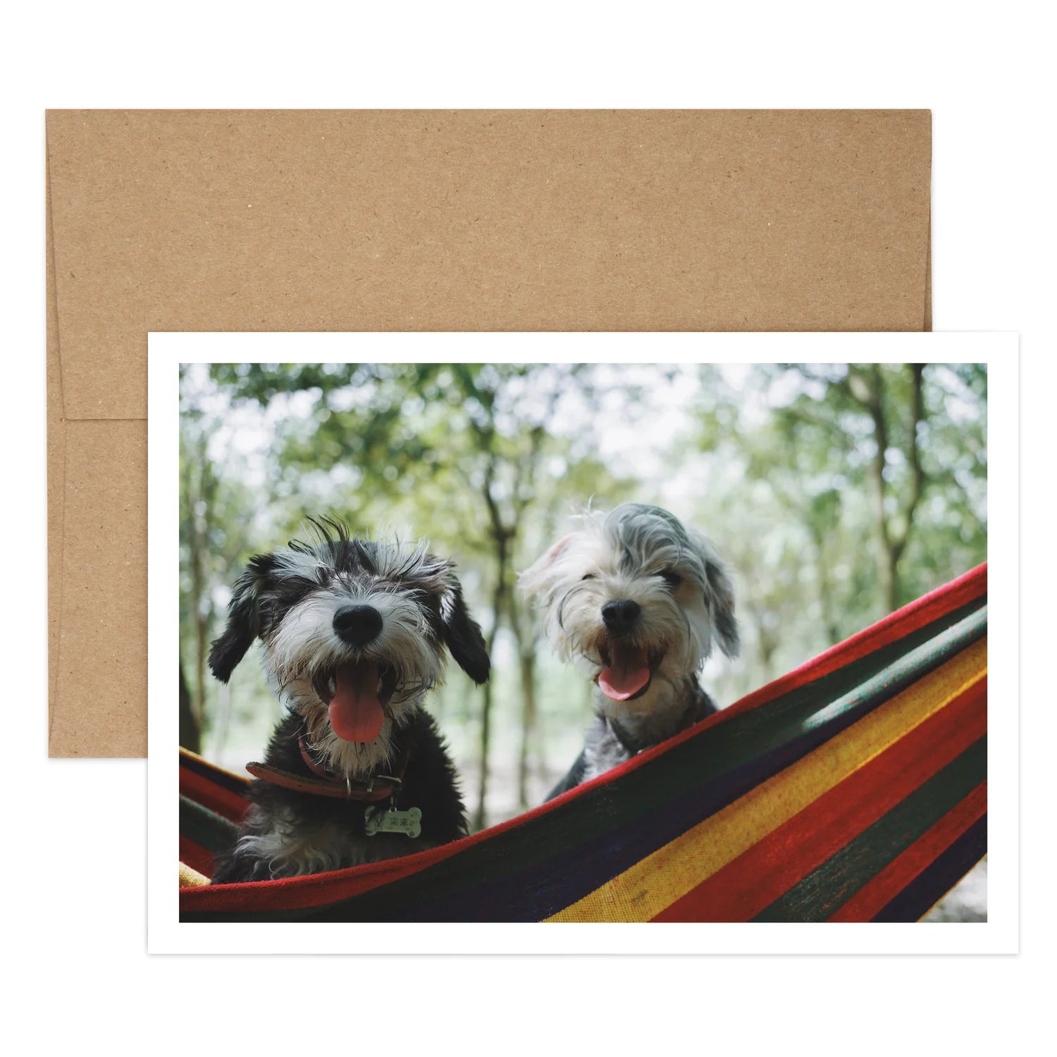 Dogs in Hammock Birthday Greeting Card