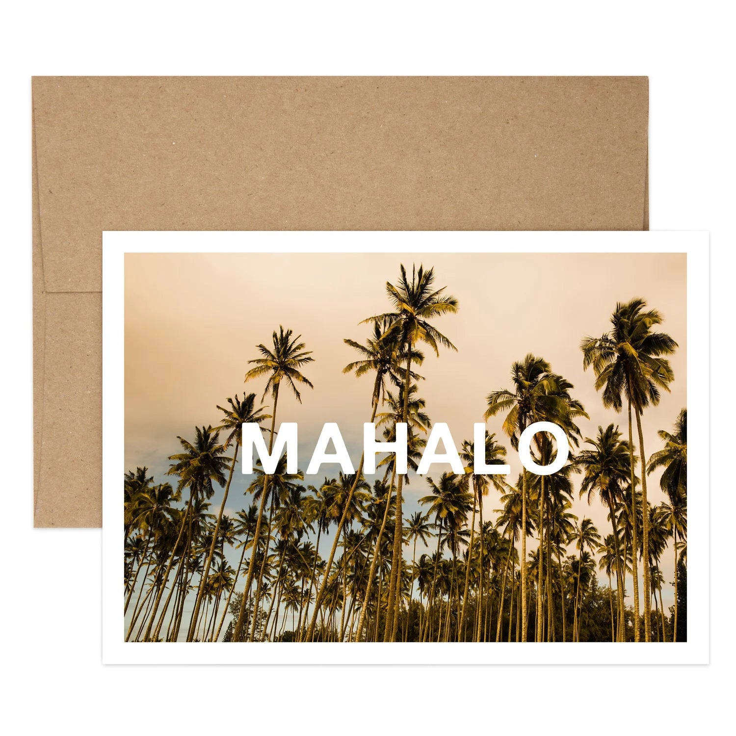 Mahalo Palms Thank You Greeting Card