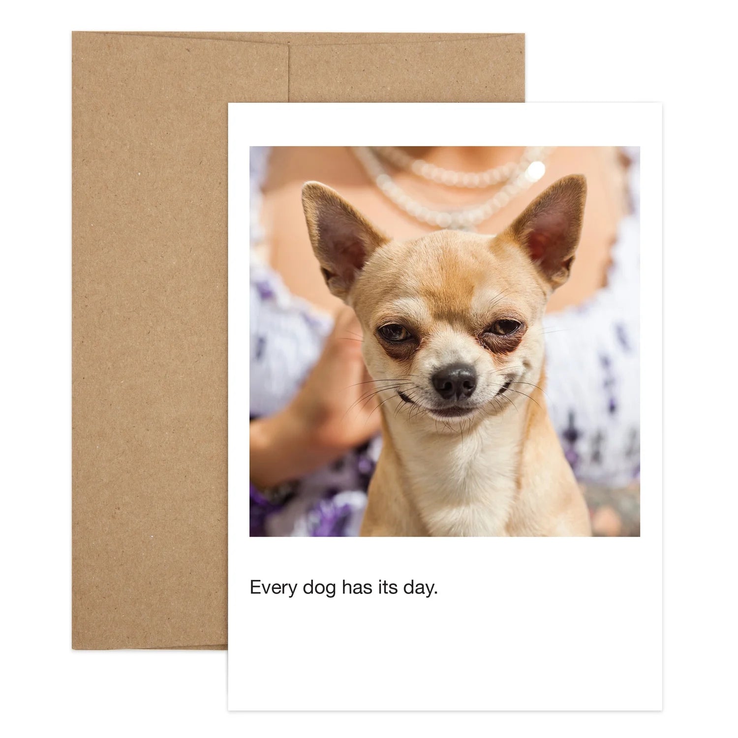 Lap Dog Birthday Greeting Card