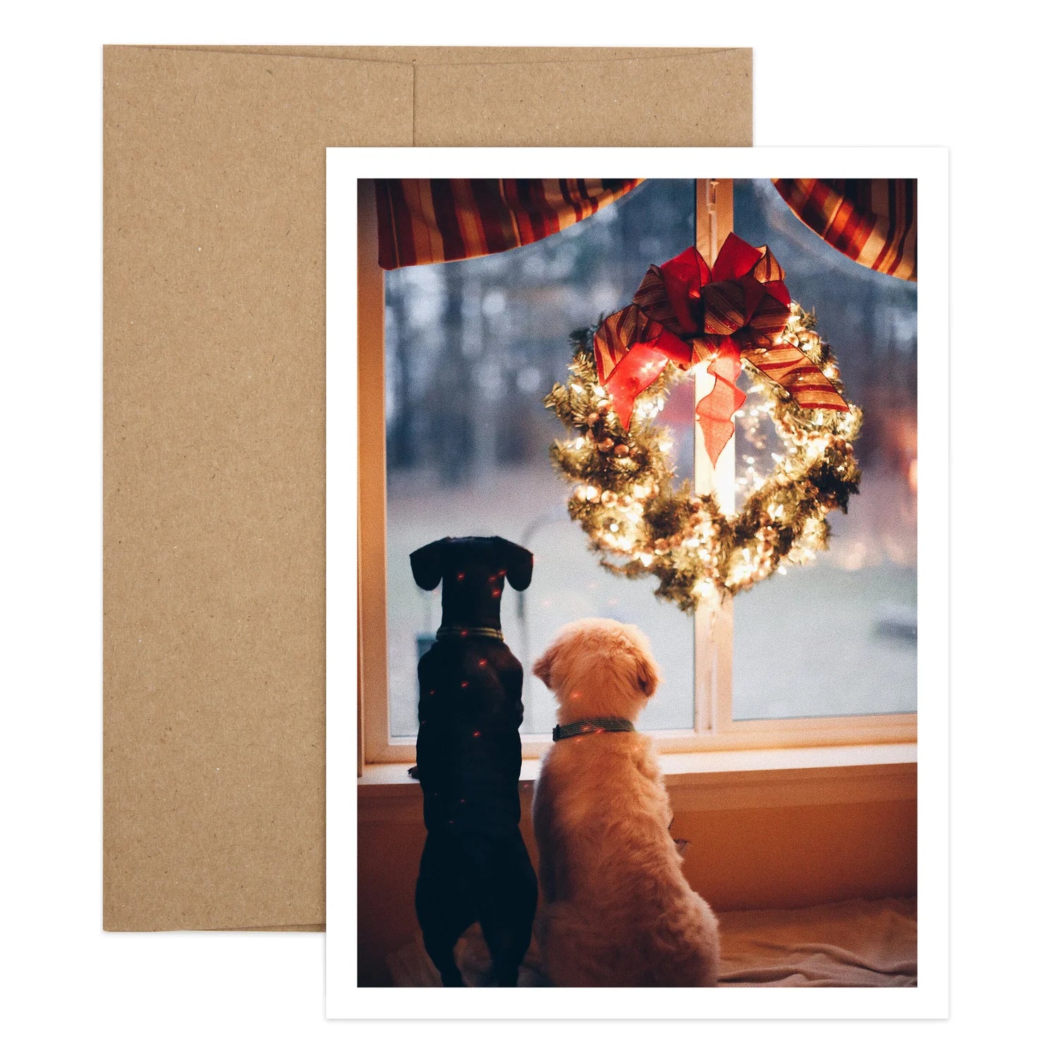 Dogs in Window Holiday Greeting Card