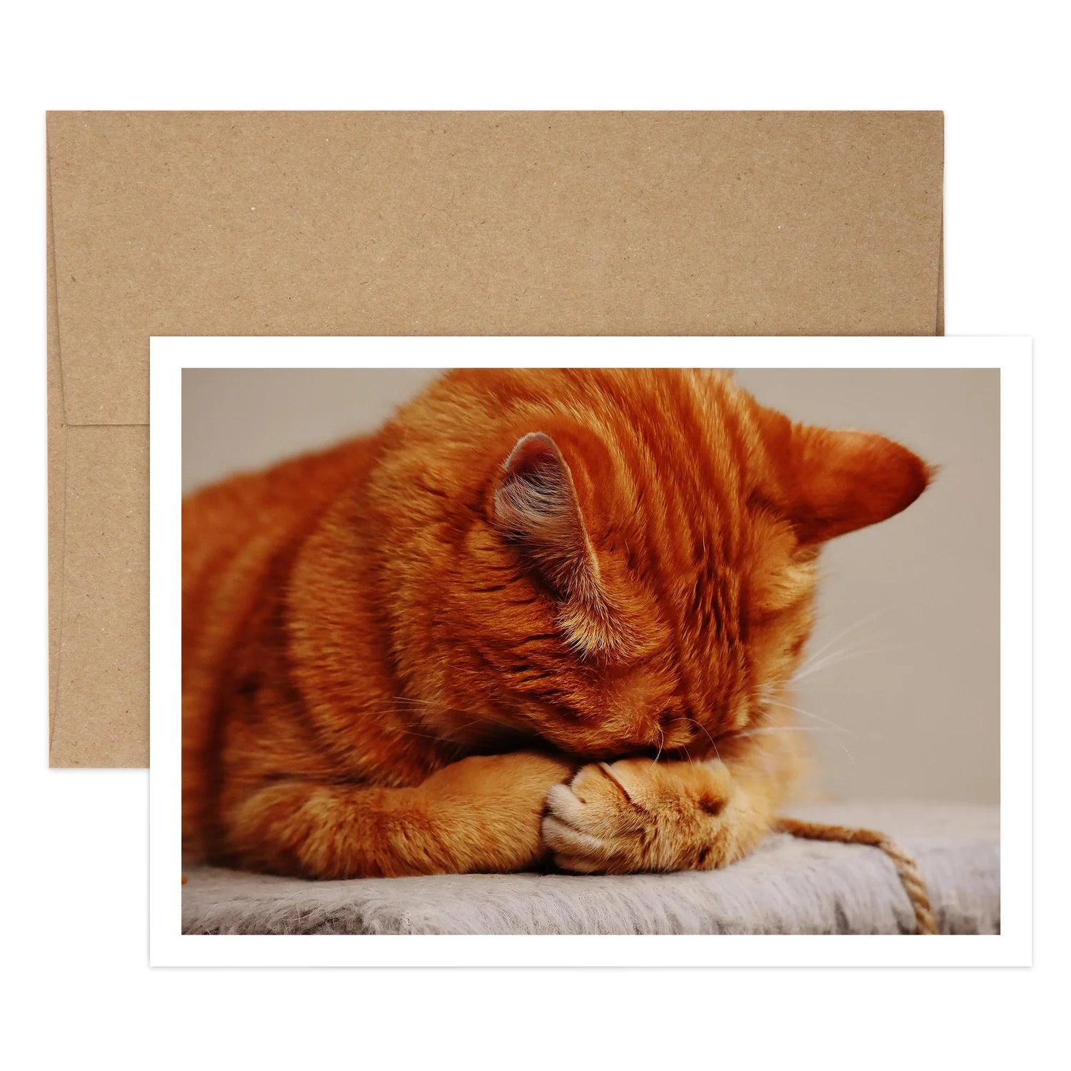 Cat Belated Birthday Greeting Card