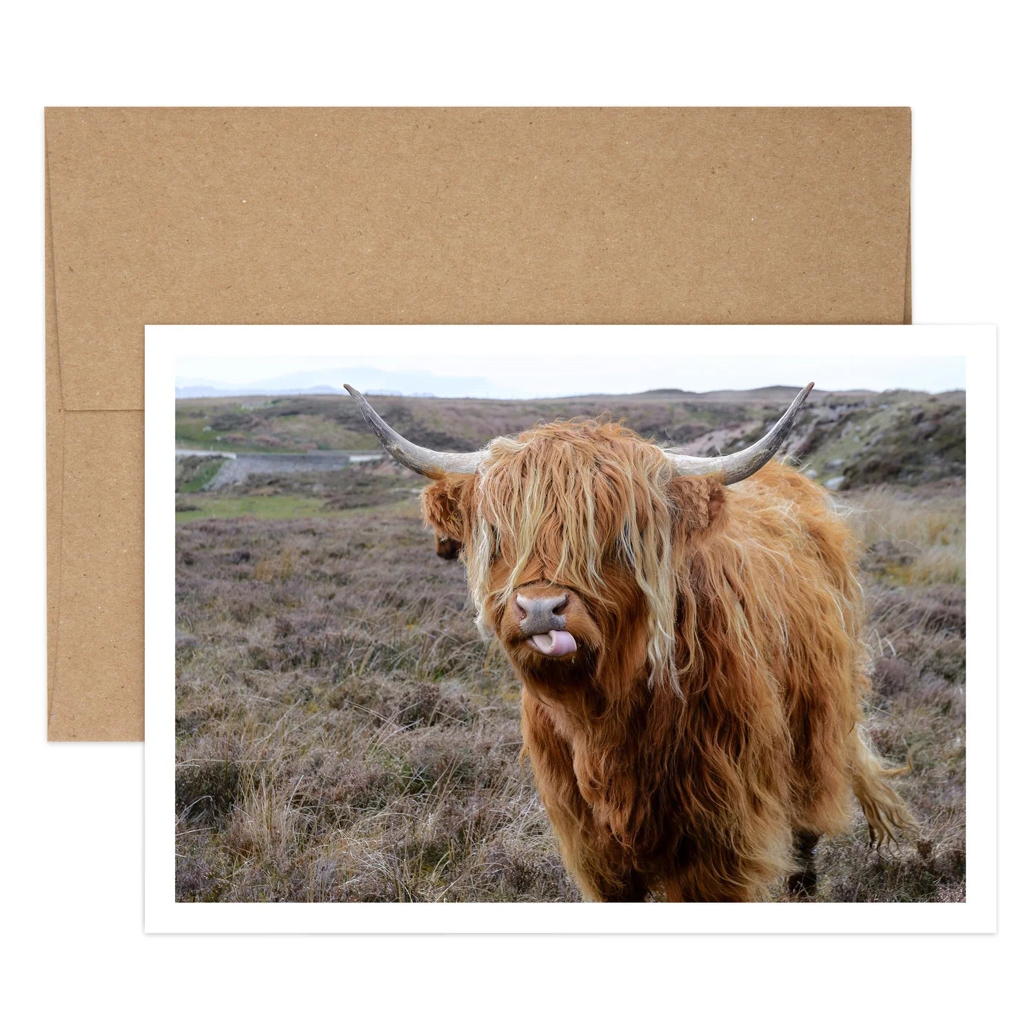 Herd Birthday Greeting Card